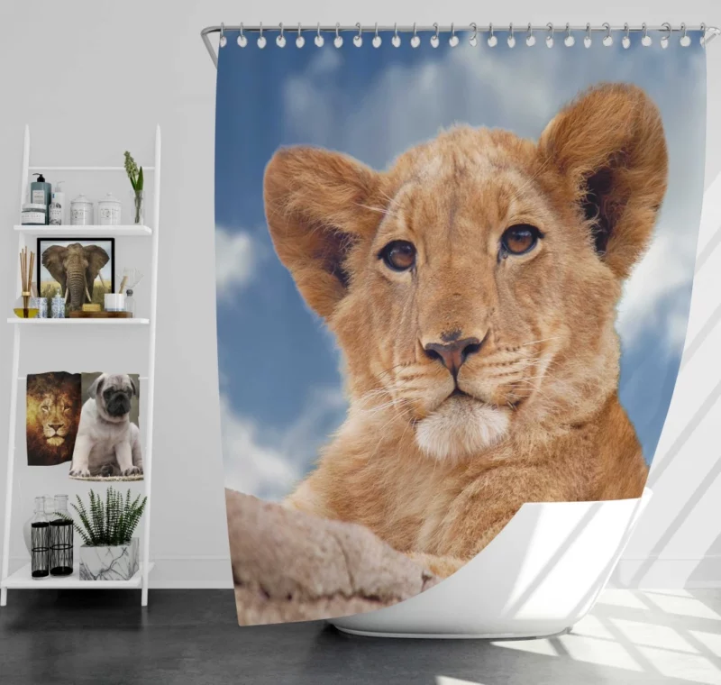 Lion Cub Enigmatic Stare Baby Majesty Shower Curtain