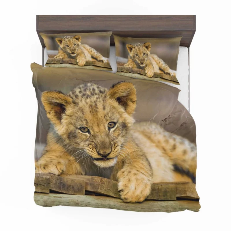 Lion Cub Innocence Wilderness Wonder Bedding Set 1