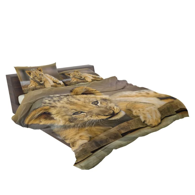 Lion Cub Innocence Wilderness Wonder Bedding Set 2