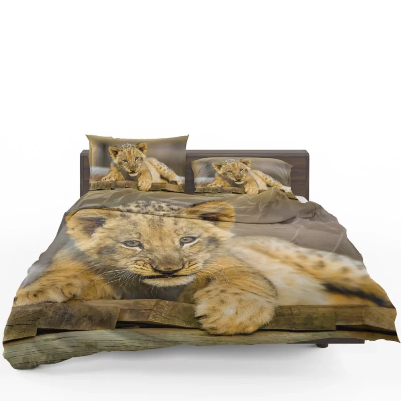 Lion Cub Innocence Wilderness Wonder Bedding Set