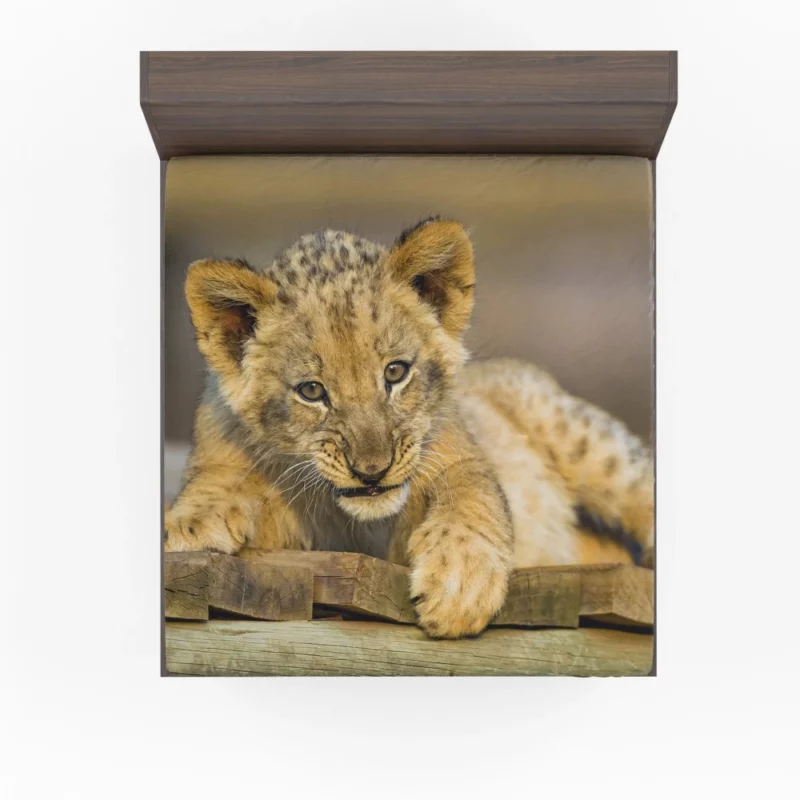 Lion Cub Innocence Wilderness Wonder Fitted Sheet 1