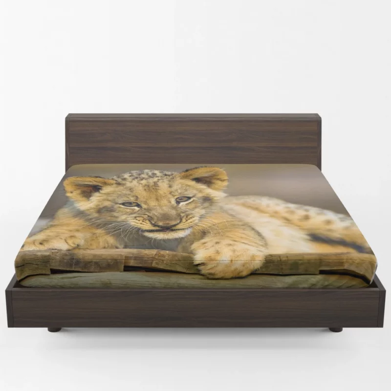 Lion Cub Innocence Wilderness Wonder Fitted Sheet