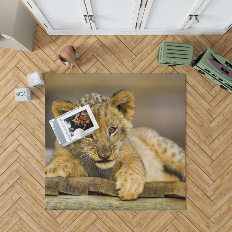 Lion Cub Innocence Wilderness Wonder Rug