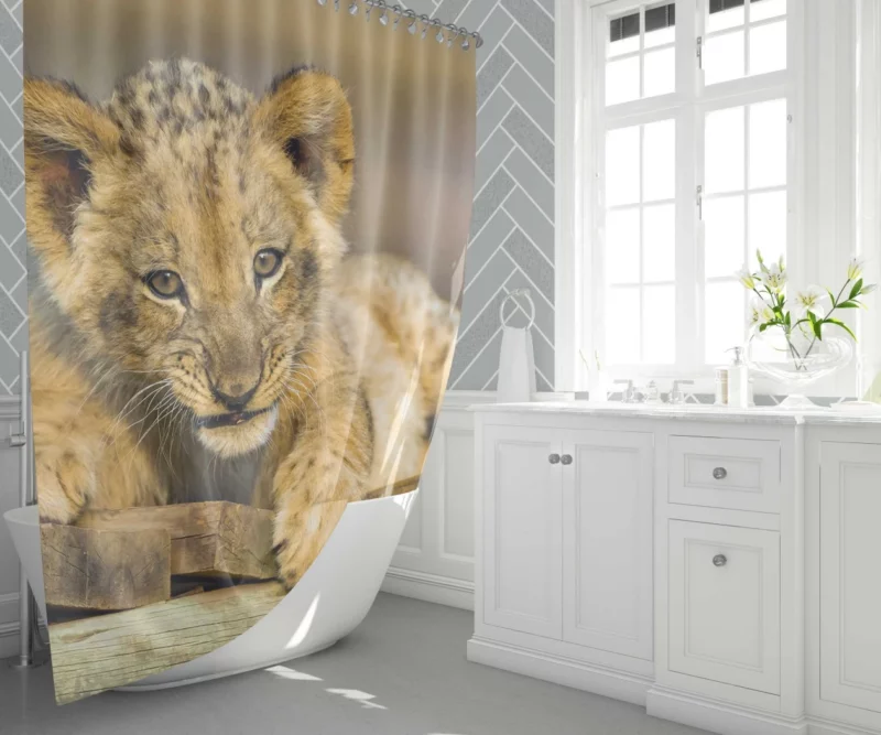 Lion Cub Innocence Wilderness Wonder Shower Curtain 1