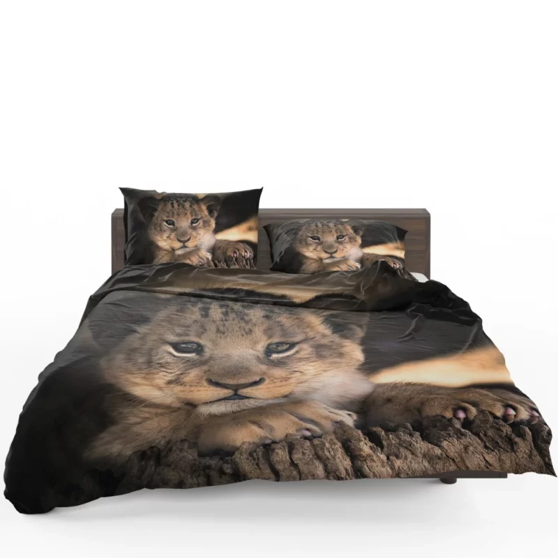 Lion Cub Irresistible Cuteness Bedding Set