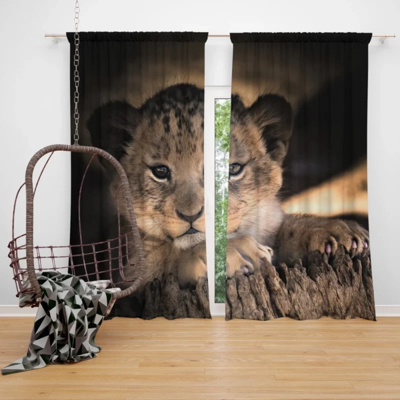 Lion Cub Irresistible Cuteness Curtain