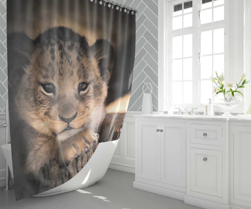 Lion Cub Irresistible Cuteness Shower Curtain 1