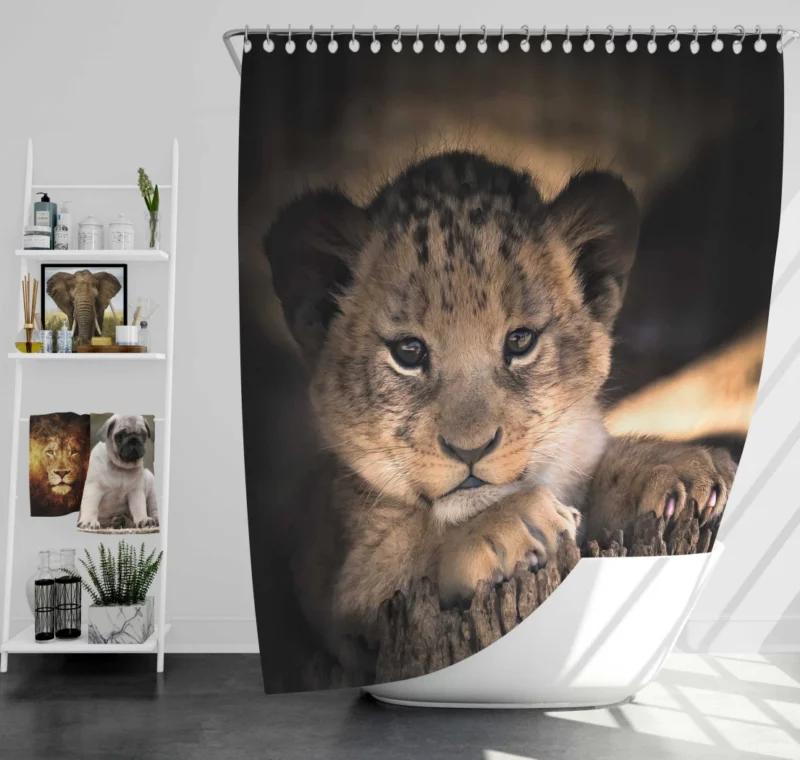 Lion Cub Irresistible Cuteness Shower Curtain