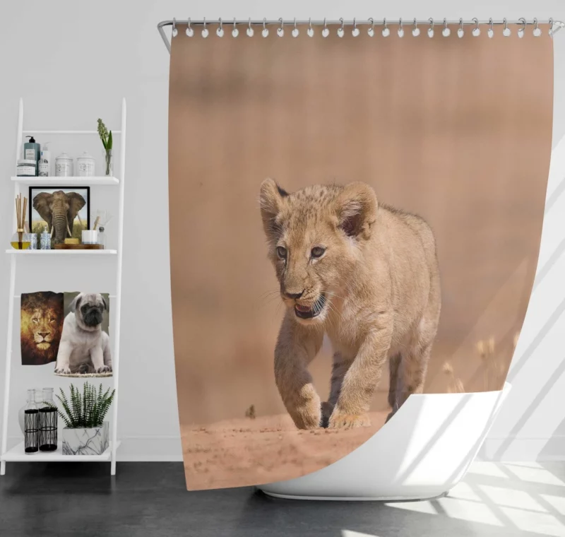 Lion Cub Love Innocent Joy Shower Curtain