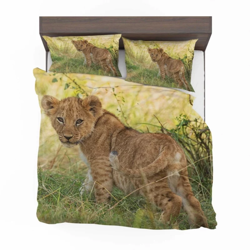 Lion Cub Playful Charm Cute Essence Bedding Set 1