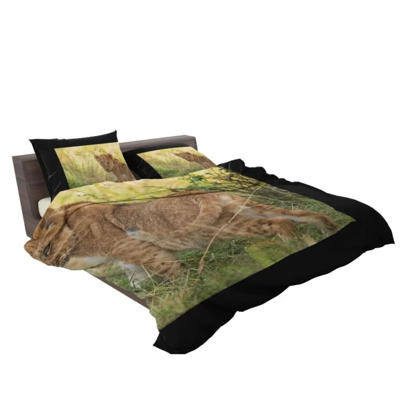 Lion Cub Playful Charm Cute Essence Bedding Set 2