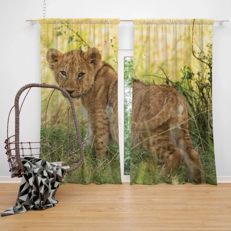 Lion Cub Playful Charm Cute Essence Curtain