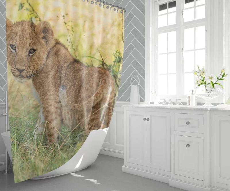 Lion Cub Playful Charm Cute Essence Shower Curtain 1