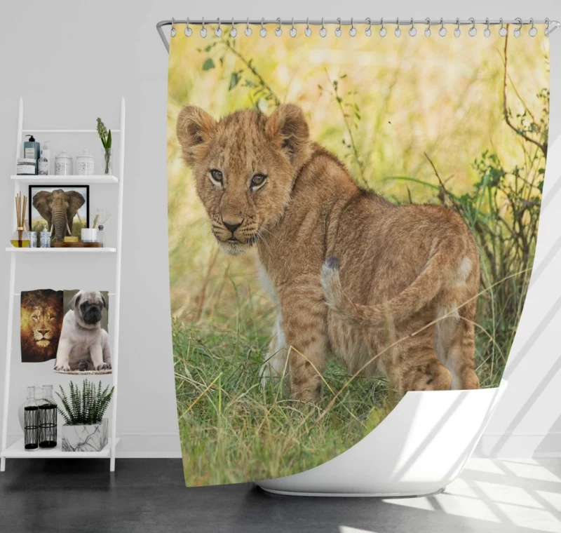 Lion Cub Playful Charm Cute Essence Shower Curtain