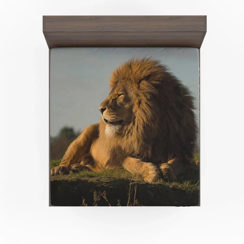 Lion Diverse Fitted Sheet 1