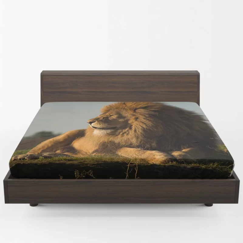 Lion Diverse Fitted Sheet