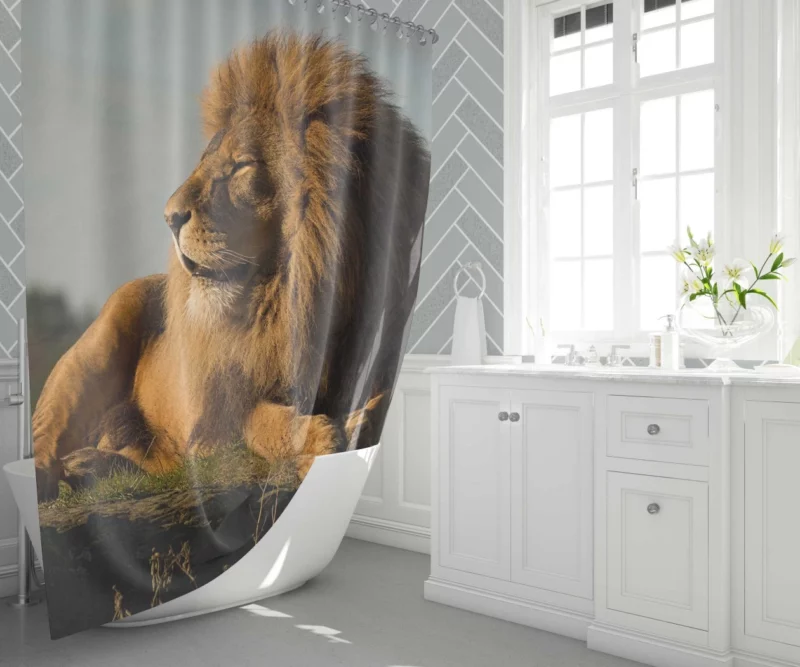 Lion Diverse Shower Curtain 1