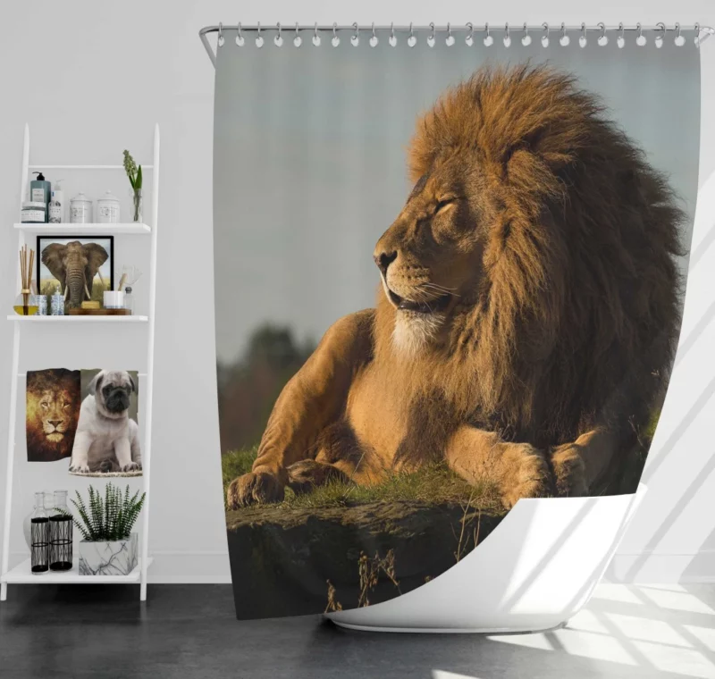 Lion Diverse Shower Curtain