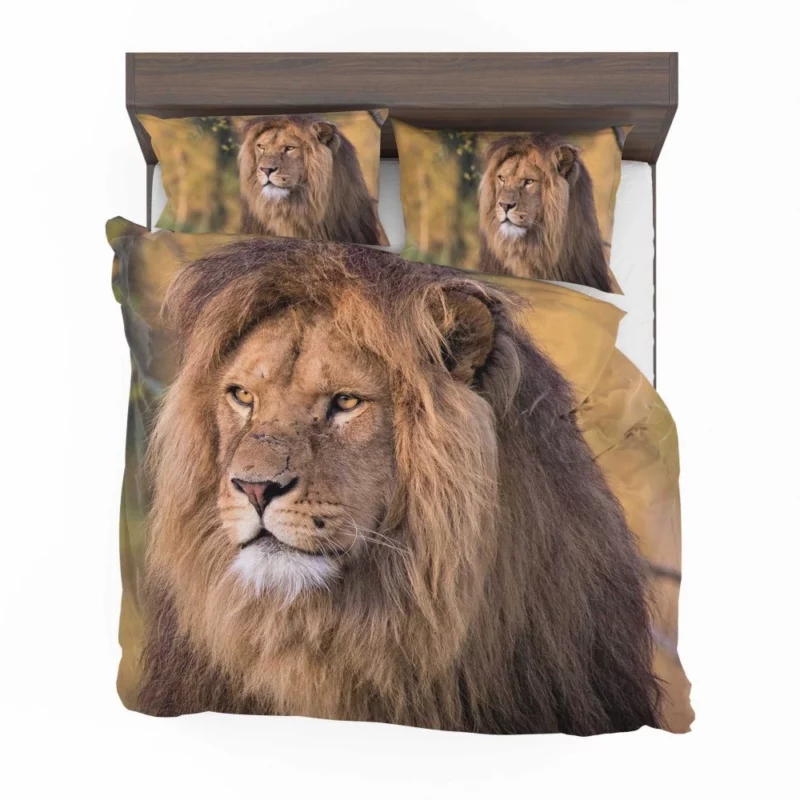 Lion Evasive Bedding Set 1