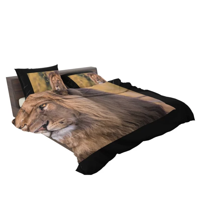 Lion Evasive Bedding Set 2