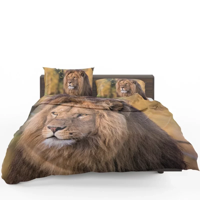 Lion Evasive Bedding Set