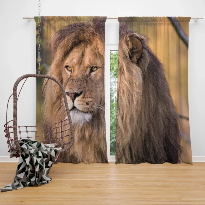 Lion Evasive Curtain