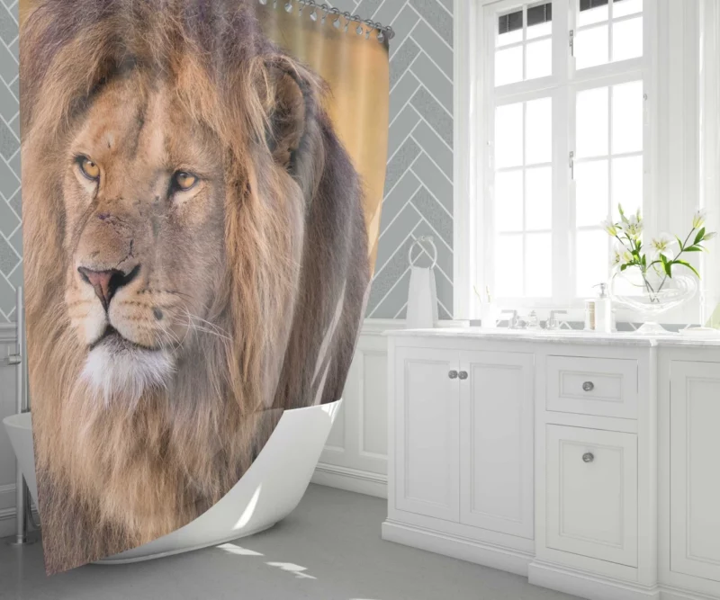 Lion Evasive Shower Curtain 1