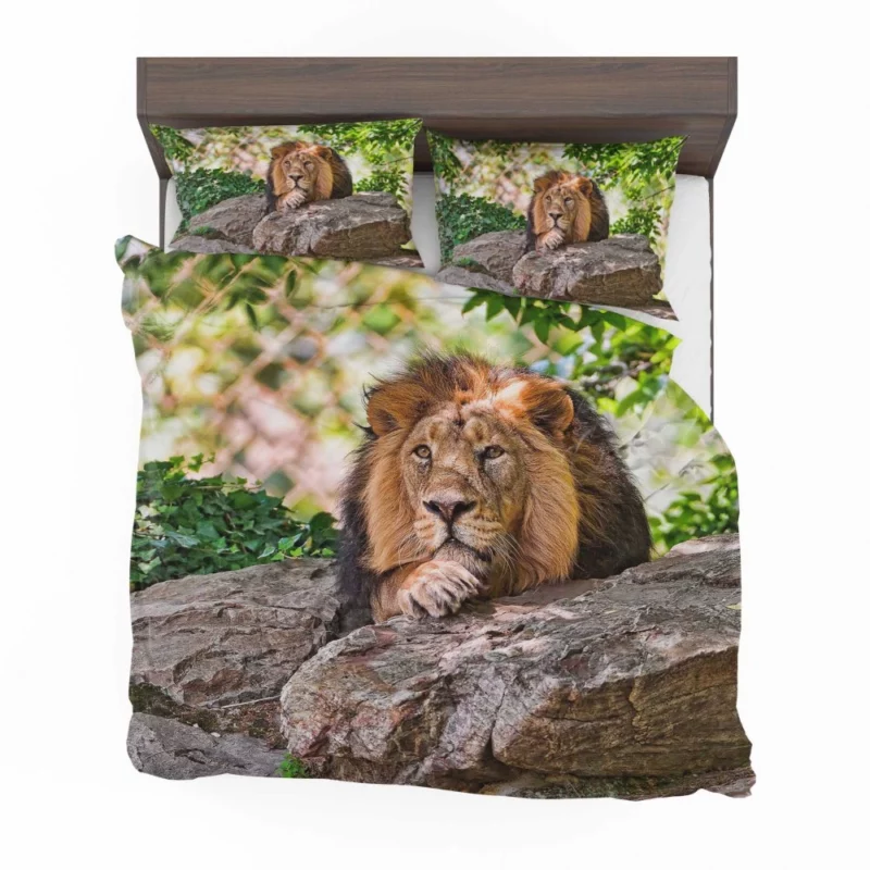 Lion Fierce Animal Bedding Set 1