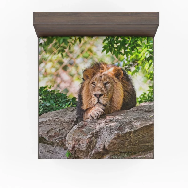 Lion Fierce Animal Fitted Sheet 1