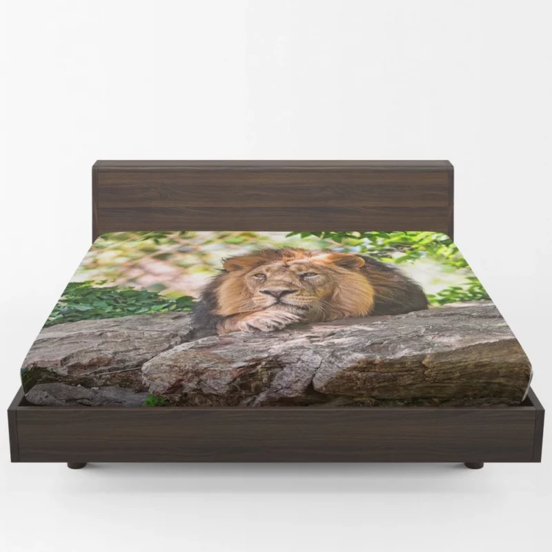 Lion Fierce Animal Fitted Sheet