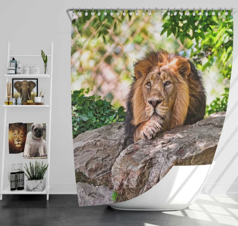 Lion Fierce Animal Shower Curtain