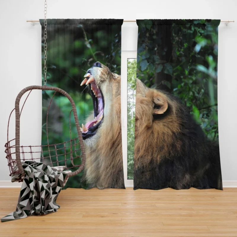 Lion Fierce Gaze Wilderness Majesty Curtain