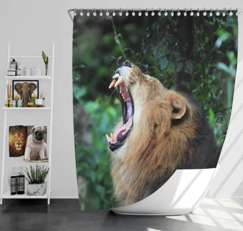 Lion Fierce Gaze Wilderness Majesty Shower Curtain