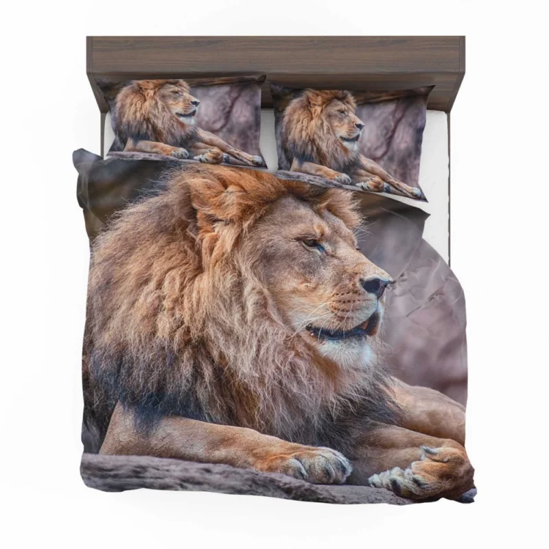 Lion Fierce Pride Bedding Set 1