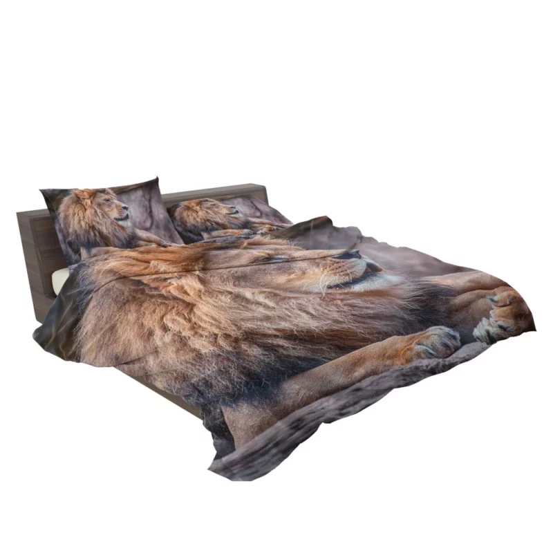 Lion Fierce Pride Bedding Set 2