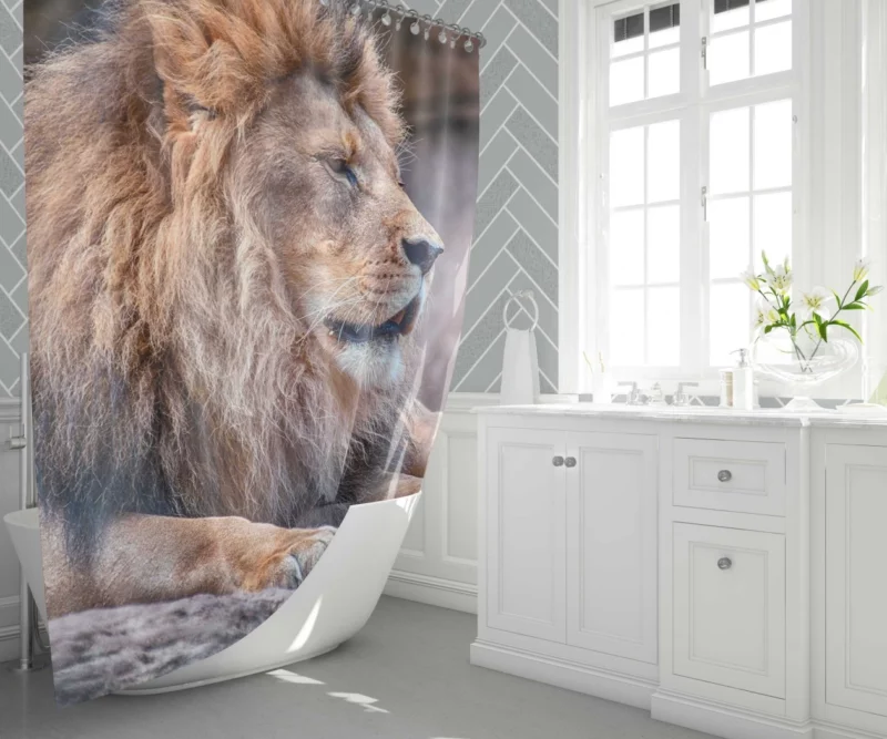 Lion Fierce Pride Shower Curtain 1