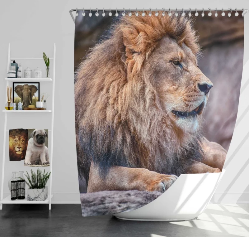 Lion Fierce Pride Shower Curtain