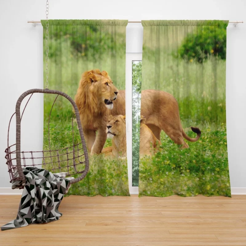 Lion Fierce Roar Ruler of Jungle Curtain