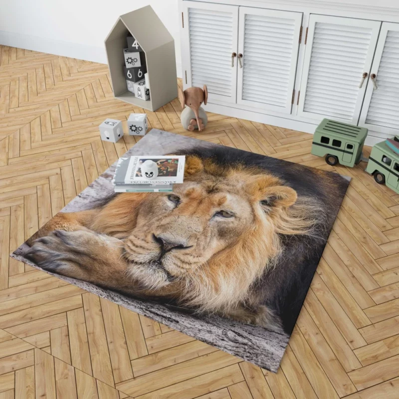 Lion Gaze into Wilderness Rug 1