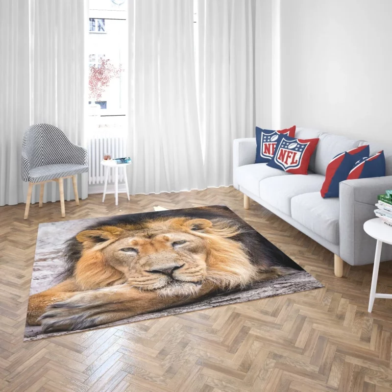 Lion Gaze into Wilderness Rug 2