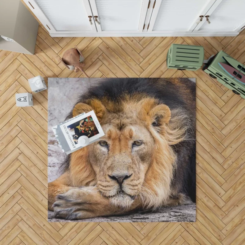 Lion Gaze into Wilderness Rug