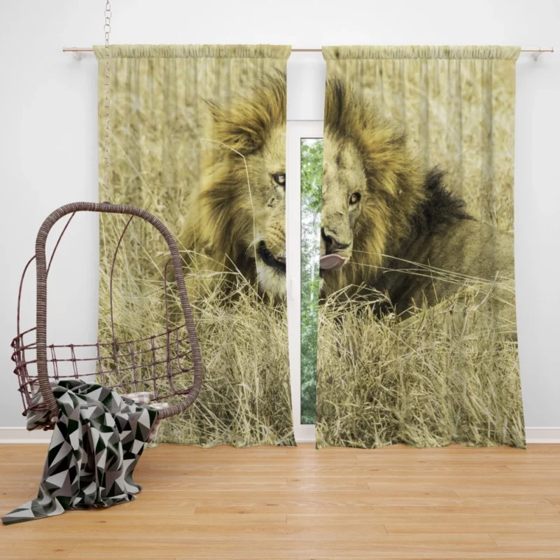 Lion Indigenous Curtain