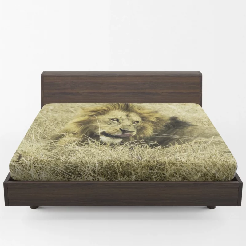 Lion Indigenous Fitted Sheet