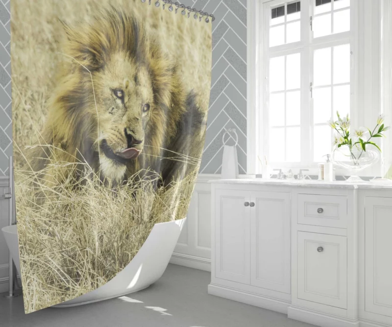 Lion Indigenous Shower Curtain 1