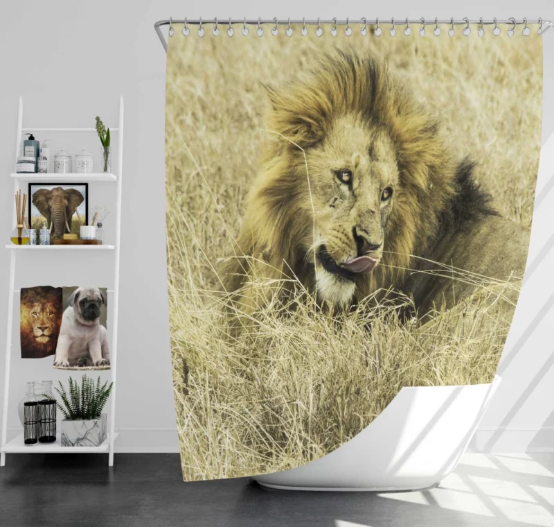 Lion Indigenous Shower Curtain