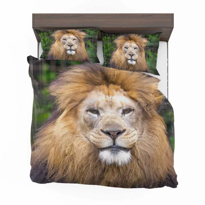 Lion Intense Close-Up Majestic Aura Bedding Set 1