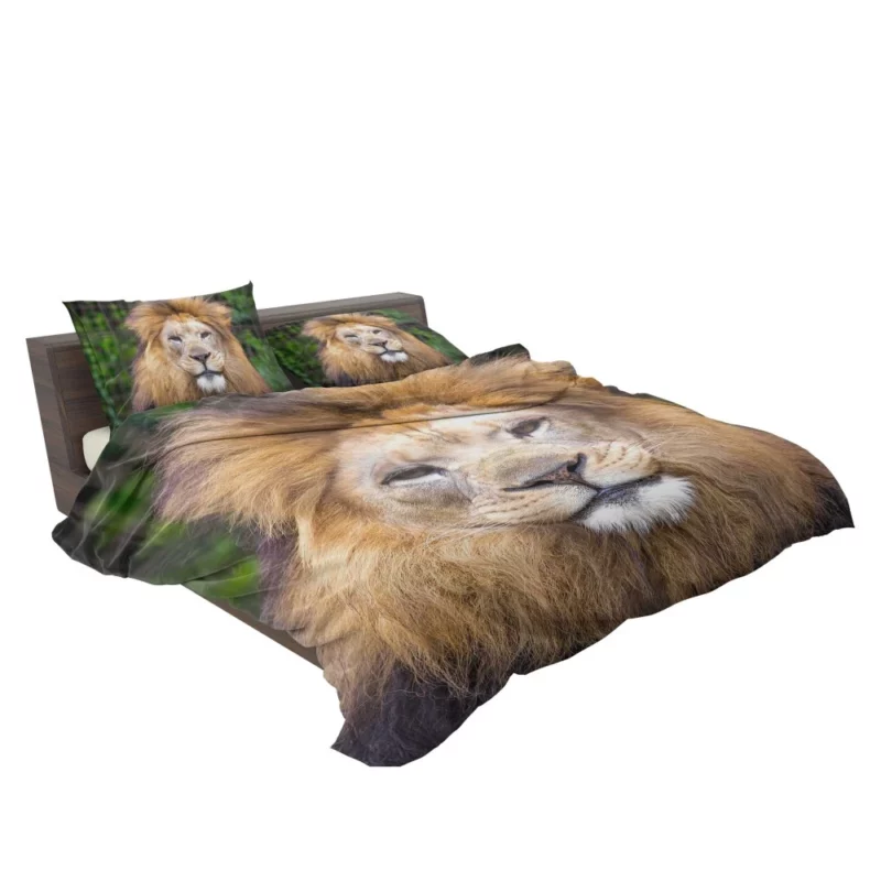 Lion Intense Close-Up Majestic Aura Bedding Set 2