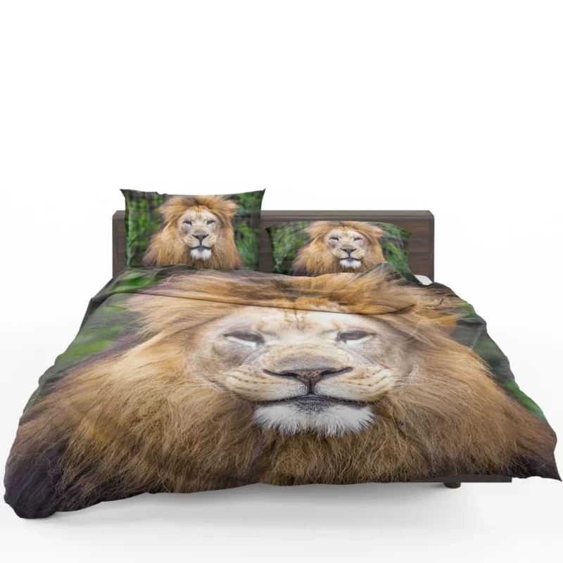 Lion Intense Close-Up Majestic Aura Bedding Set