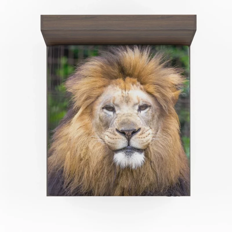 Lion Intense Close-Up Majestic Aura Fitted Sheet 1