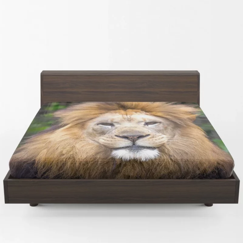 Lion Intense Close-Up Majestic Aura Fitted Sheet